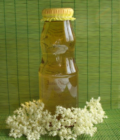 Bodzaszörp