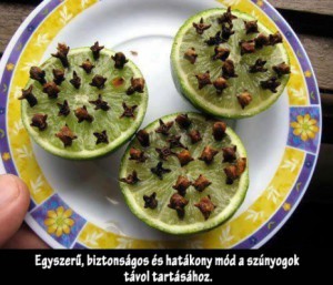 Szúnyogcsípés ellen